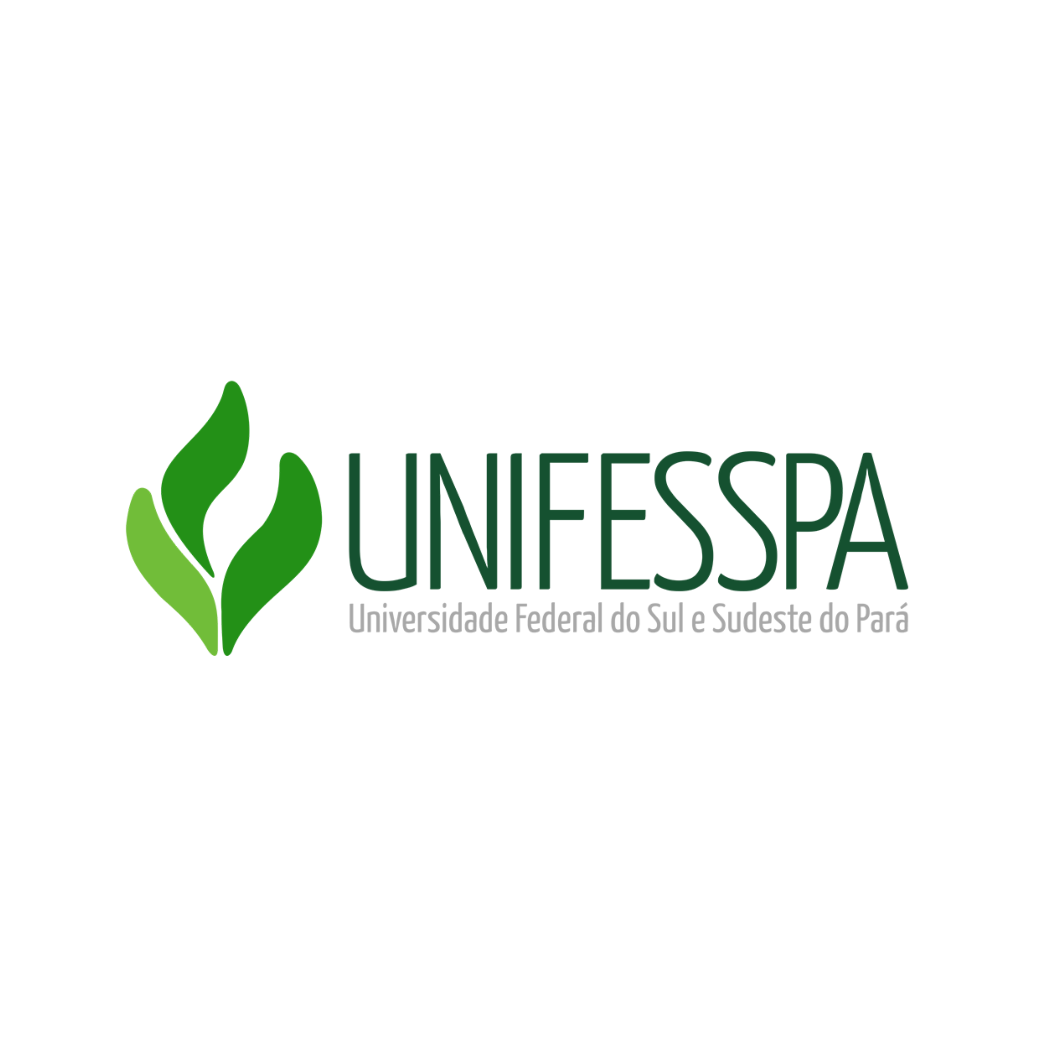 Universidade Federal do Sul e Sudeste do Pará - UNIFESSPA
